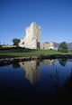 Ross Castle, Killarney, Co Kerry, Ireland Wall Mural