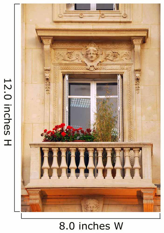 Old Window Wall Mural