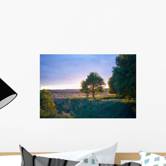 Rural North Dakota Landscape Wall Decal