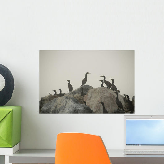 Birds On Rocks Wall Mural