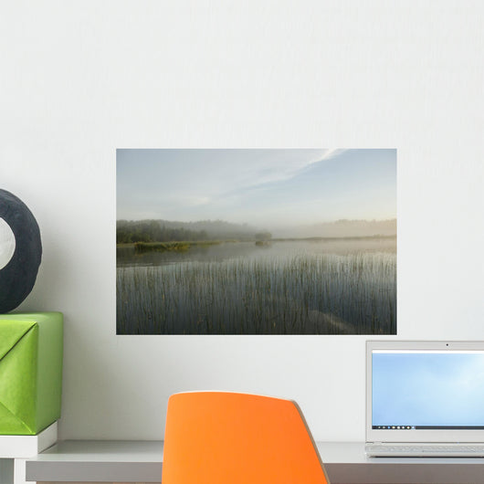 Lake Of The Woods, Ontario, Canada Wall Mural