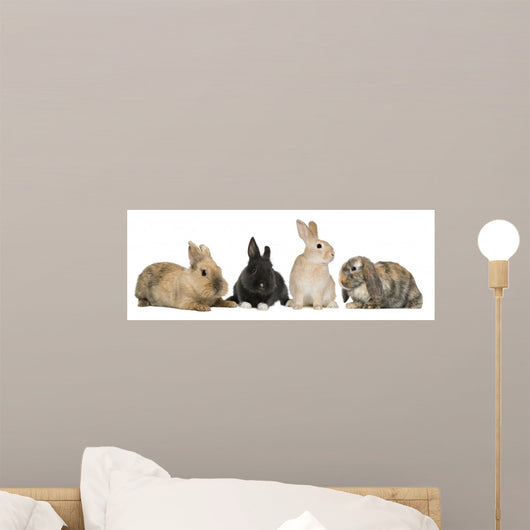 Four Bunny rabbits Wall Decal