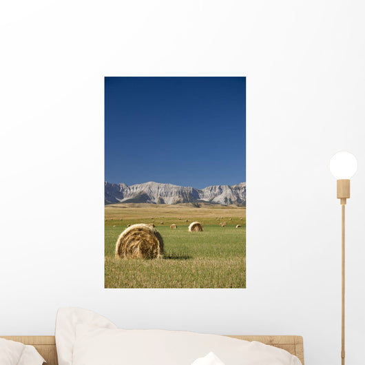 Southern Alberta, Canada Wall Mural