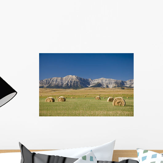 Field Of Hay Bales, Alberta, Canada Wall Mural