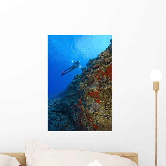 Molokini Maui Hawaii Usa Wall Mural