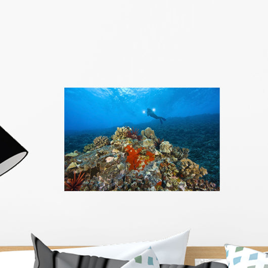 Molokini Crater Maui Hawaii Usa A Single Scuba Diver Wall Mural