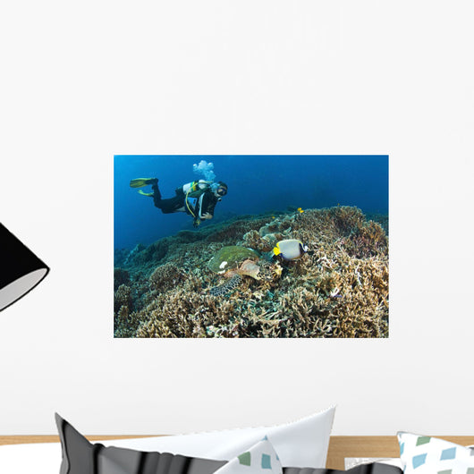 Similan Islands Thailand Wall Mural