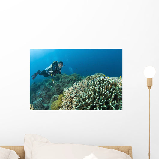 Sea Krait And Scuba Diver, Apo Island Marine Park, Philippines Wall Mural