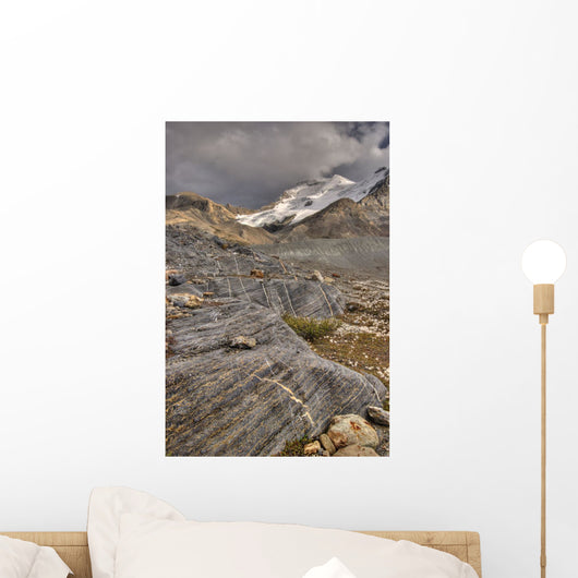 Mount Athabasca Wall Mural