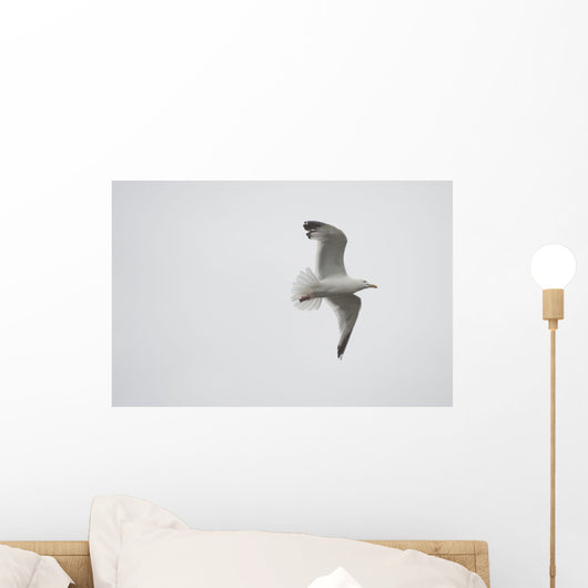 Lake Of The Woods, Ontario, Canada Wall Mural