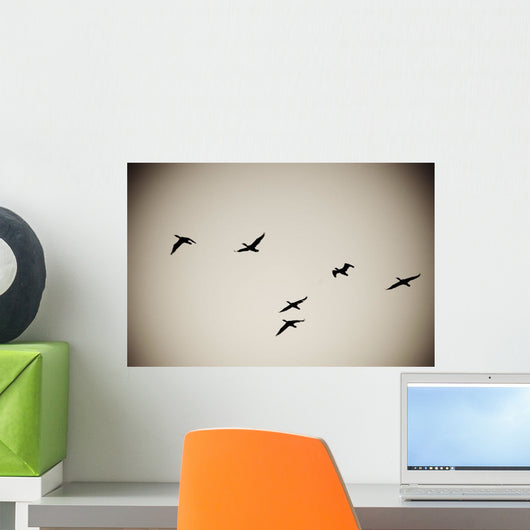 Lake Of The Woods, Ontario, Canada Wall Mural