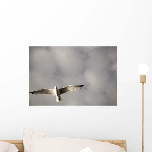 Lake Of The Woods, Ontario, Canada Wall Mural