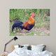 Rooster