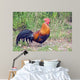 Rooster