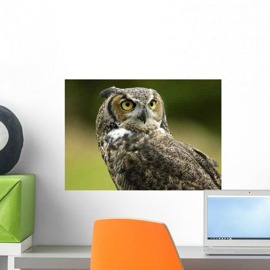 Horned Owl Wall Decal