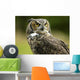 Horned Owl Wall Decal