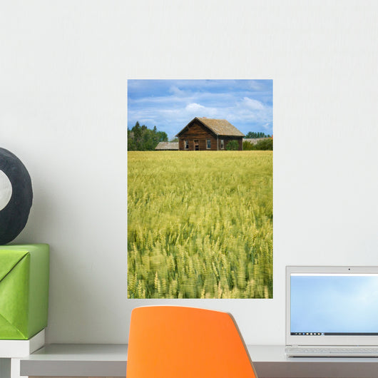 Farmhouse And Wheat Field, Calmar, Alberta, Canada Wall Mural