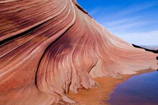 Wave Wall Mural