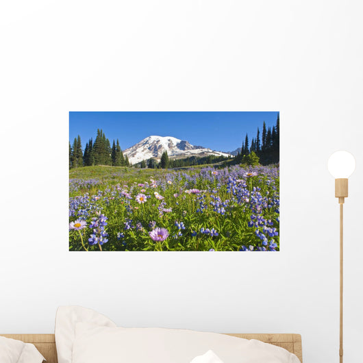 Wildflower Meadow, Mount Rainier National Park, Washington, Usa Wall Mural