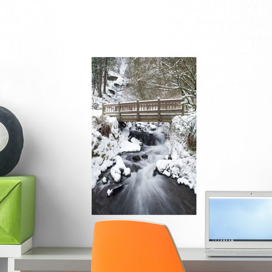 Waukeena Creek, Columbia River Gorge, Oregon, Usa Wall Mural