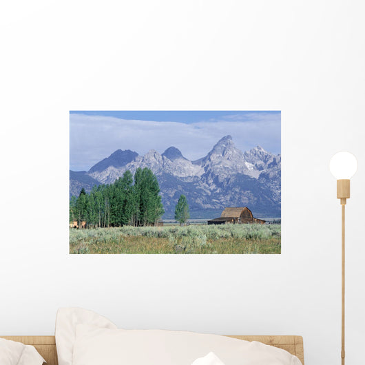 Grand Teton National Park, Wyoming, Usa Wall Mural