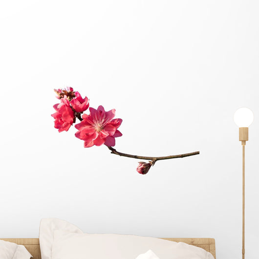 Peach Blossom Flower Branch Wall Decal