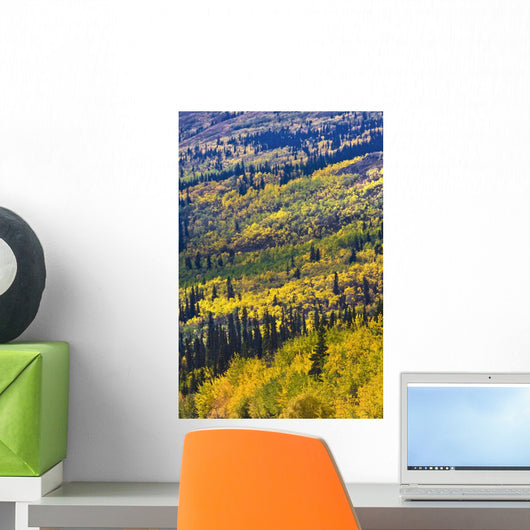 Autumn Countryside, Yukon Territories, Canada Wall Mural