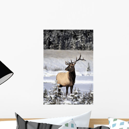 Elk Wall Mural