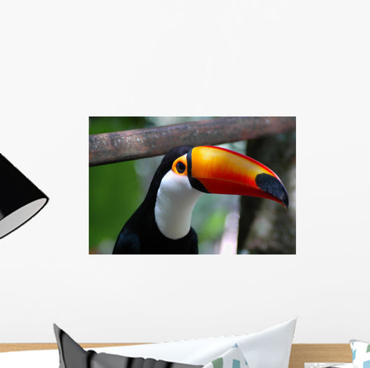 Toucan Brazil Wall Mural