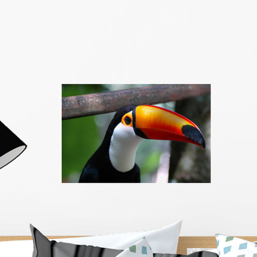 Toucan Brazil Wall Mural