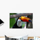 Toucan Brazil Wall Mural