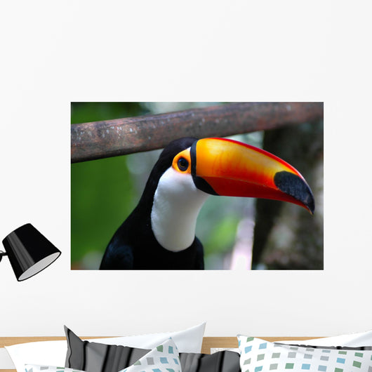 Toucan Brazil Wall Mural
