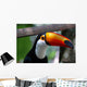 Toucan Brazil Wall Mural