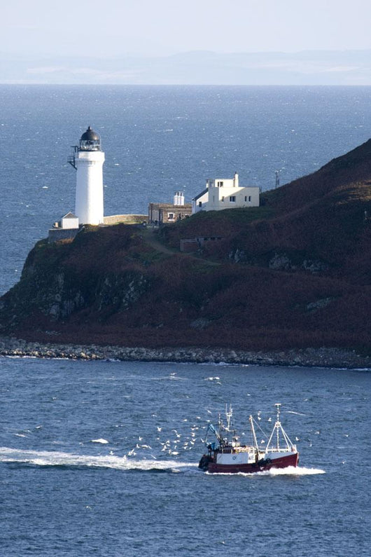 Lighthouse On The Coast Wall Mural
