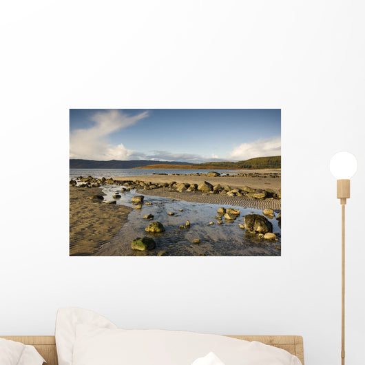 Rocky Beach, Argyll And Bute, Scotland Wall Mural