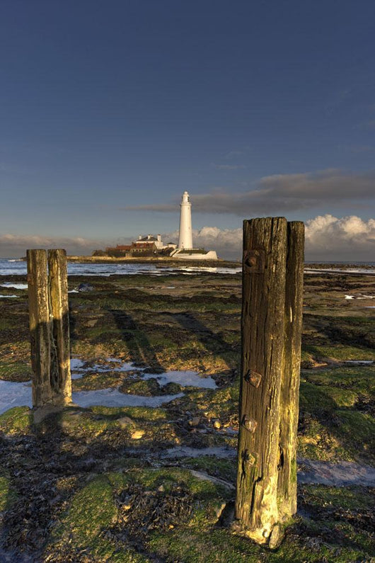 Wooden Posts And Lighthouse In Distance Wall Mural