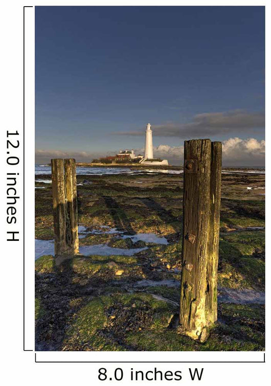 Wooden Posts And Lighthouse In Distance Wall Mural