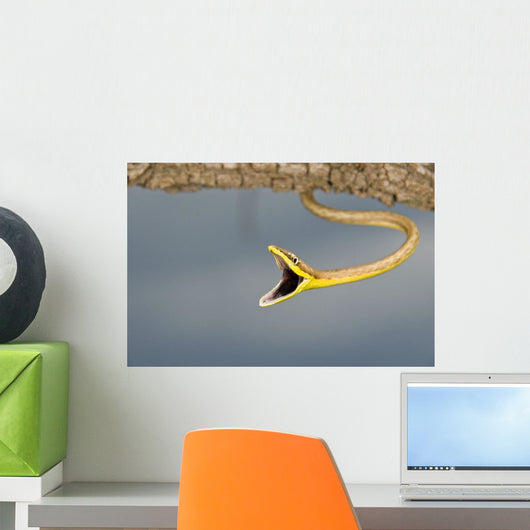 Brown Vine Snake, Wall Mural