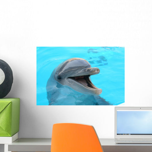 dolphin Wall Mural