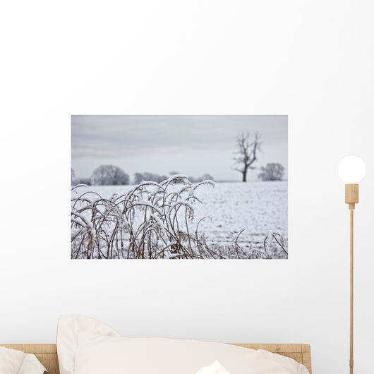 Snow Covered Trees And Field Wall Mural