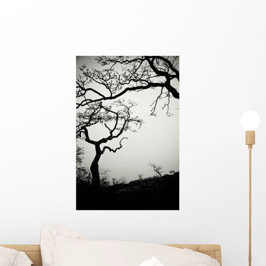 Low Angle View Of Eerie Tree Silhouettes Wall Mural