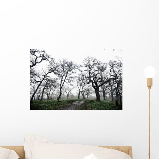 Low Angle View Of Eerie Tree Silhouettes Wall Mural