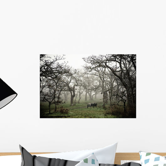 Eerie Fog Shrouded Park Wall Mural