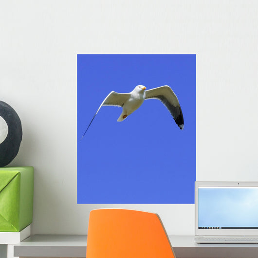 Seagull In Flight Wall Mural
