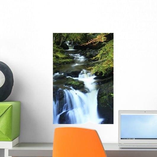 Torc Waterfall, Killarney National Park, County Kerry, Ireland Wall Mural