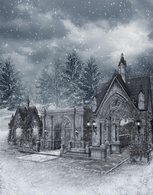 Winter Scenery 14 Wall Mural