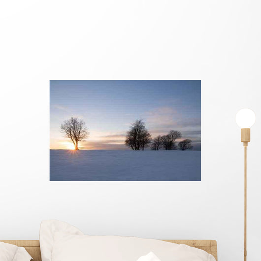 Schauinsland Ii Wall Decal Design 2
