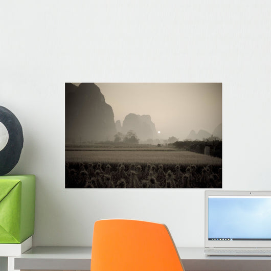 Field In Mountain Area, Toned Image Wall Mural