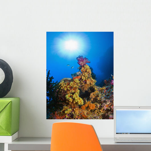Underwater Starburst Streaming Down On Soft Corals, Fiji Wall Mural