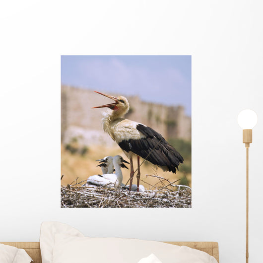 White Stork Wall Mural